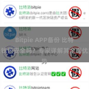 Bitpie APP备份 比特派钱包安全吗？专家详解其全面优势