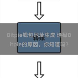 Bitpie钱包地址生成 选择Bitpie的原因，你知道吗？