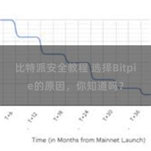 比特派安全教程 选择Bitpie的原因，你知道吗？