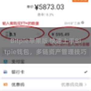 Bitpie苹果版 快速上手Bitpie钱包，多链资产管理技巧