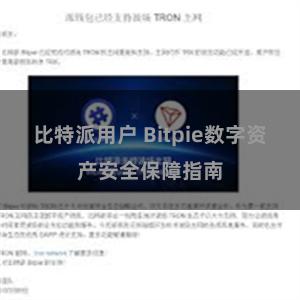 比特派用户 Bitpie数字资产安全保障指南