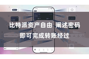 比特派资产自由  阐述密码即可完成转账经过