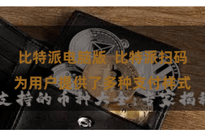 比特派电脑版 比特派扫码为用户提供了多种支付样式