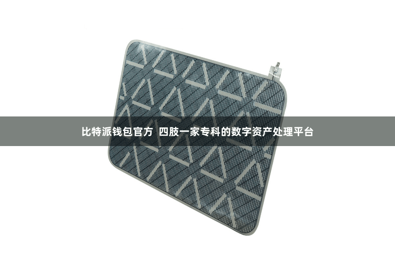 比特派钱包官方 四肢一家专科的数字资产处理平台