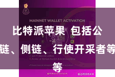 比特派苹果  包括公链、侧链、行使开采者等