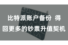 比特派账户备份  得回更多的钞票升值契机
