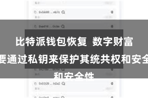 比特派钱包恢复  数字财富需要通过私钥来保护其统共权和安全性