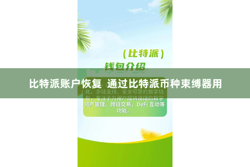 比特派账户恢复  通过比特派币种束缚器用